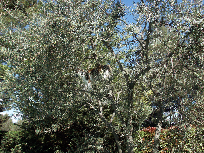 2005-05 002.JPG - DCF 1.0